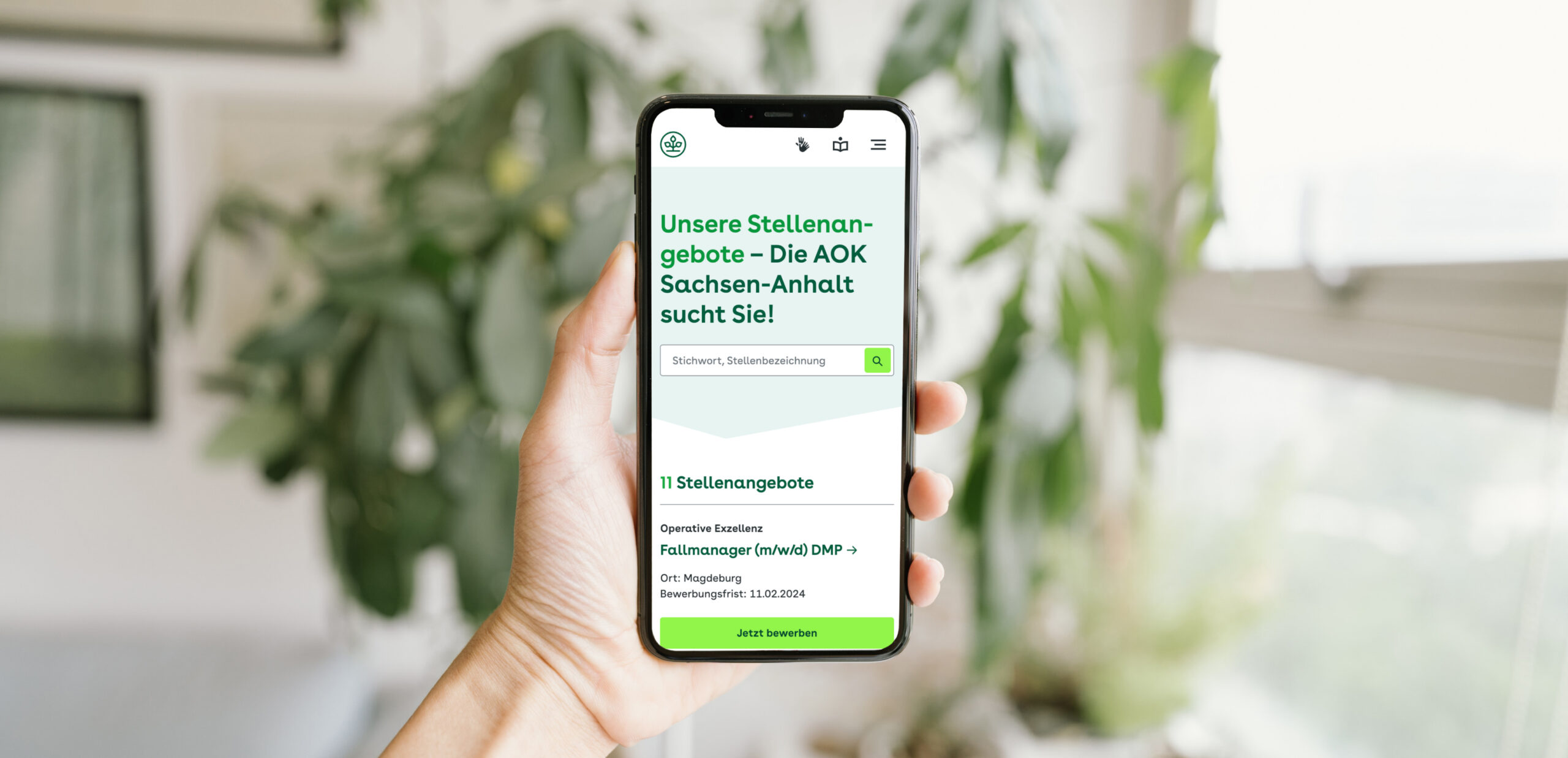 A female hand holding an iPhone showing a screenshot of the career page of AOK Sachsen-Anhalt
