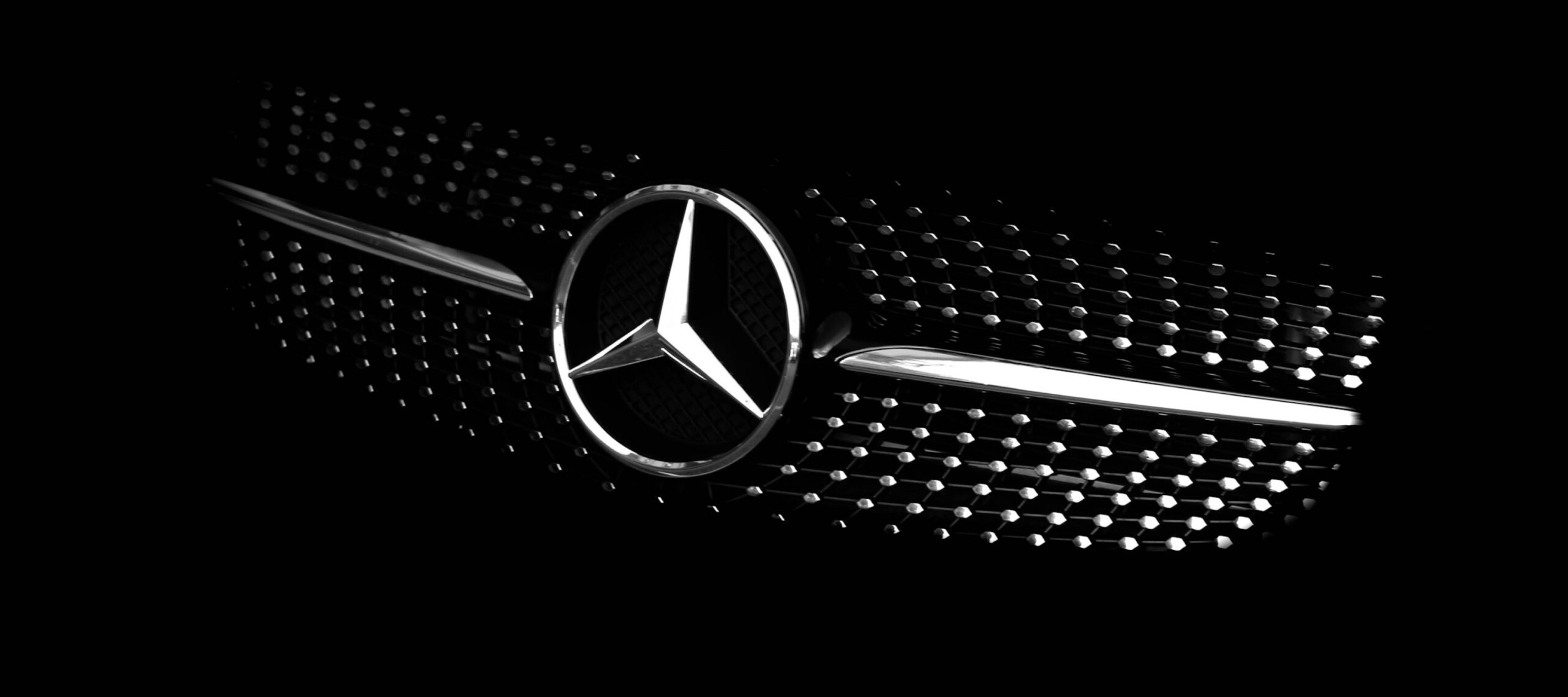 Mercedes Benz front grille